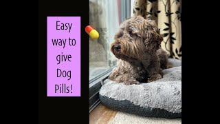 Dog won't take Pills? Try this! Easy way to give Dog medicine