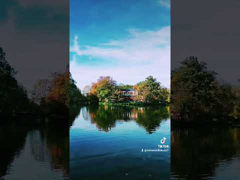 عبد الله الرويشد غلاتي 