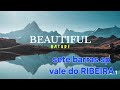 Bora andar é papear .