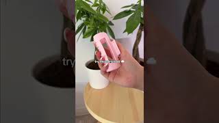 The Only Claw Clip Youll Ever Need