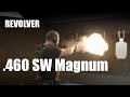 Le revolver le plus puissant  460 sw magnum