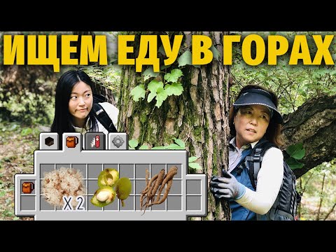 КАК КОРЕЙЦЫ ХОДЯТ ЗА ГРИБАМИ | Моя Корея