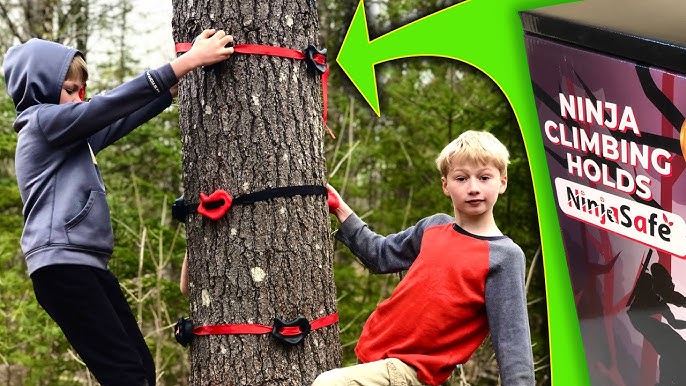Tree YouTube Climbers Slackers -