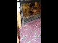 relax and watch till the end somthing satisfying coming 💐💐