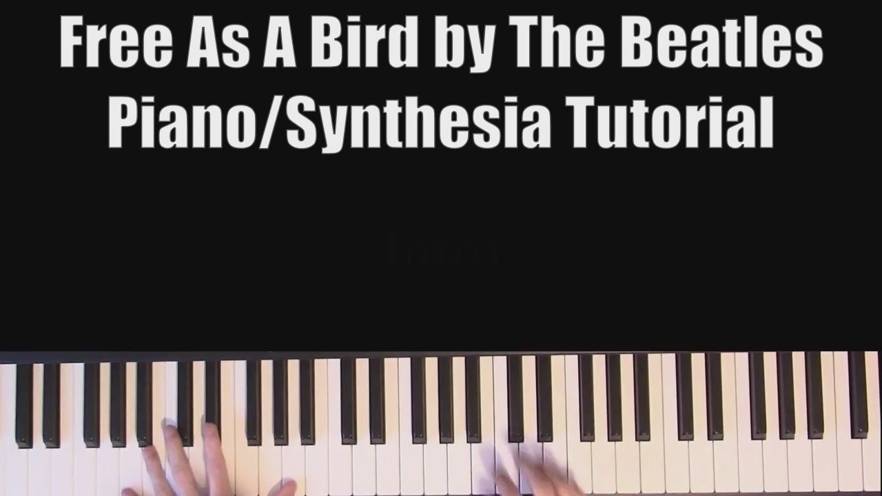 Free As A Bird by The Beatles (Synthesia Tutorial) - YouTube
