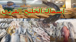 تعالو معانا في جولة في سوق أسماك الخليج العربي | سمك كنعد و باراموندي و استاكوزا و الهامور? ?