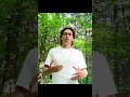 Блокчейн – великолепный инструмент социально – экономического влияния