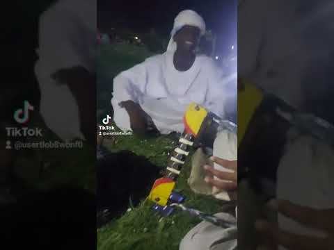 الفنان حامد حسب الله