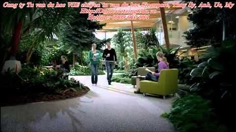 [VSE] Du hoc Uc - Gioi thieu ve truong The University of Queensland