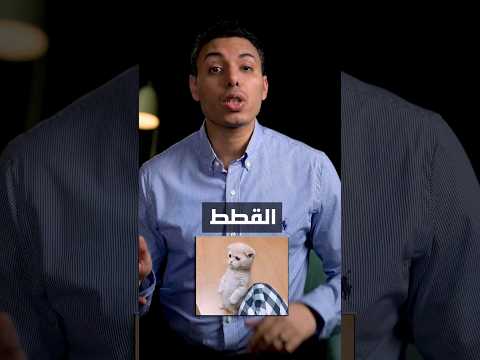 هل مسكنات ألم الدورة الشهرية والقطط تسبب العقم