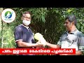 Jeevamrutham or organic fertilizer