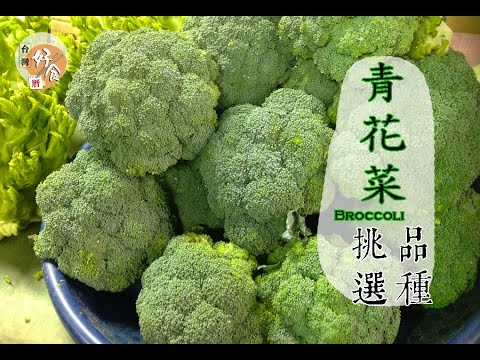 春 綠花椰菜如何挑選才好吃 台灣好食曆 Youtube
