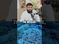 Coral Reef Proves Islam Coral Reef Proves Islam