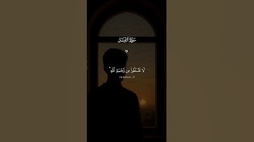 لاتقنطوا من رحمة الله 😴🥺| #راحة_نفسية #قرآن #تلاوة_خاشعة #تابعوني #اكسبلور #ترند #لايك