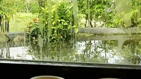 风清云淡  *风潮音乐-身心灵健康音乐-心灵清汤专辑* - 天天要闻