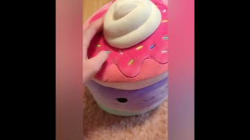 A pancake squishmallow!