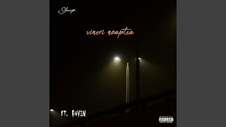 Vineri Noaptea (feat. R4V3N)