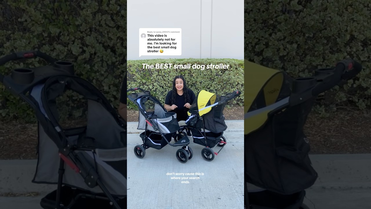 This is the BEST small dog stroller! #petstroller #dogstroller #smalldog #dogs #doglove #dogtravel 縮圖