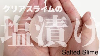 【実験】クリアスライムの塩漬けが作りたいんじゃ