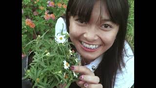 DEPT - CYCLE OF  LOVE (ฤดู) (Unofficial MV)