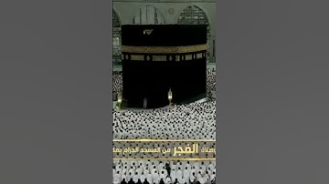 صلاة الفجر من رحاب المسجد الحرام الشّيخ ياسر الدوسري فواتِح سورة الجاثية يوم السبت ٦ صفر ١٤٤٦هـ.
