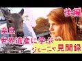 【奈良観光】奈良‼世界遺産に学ぶ街　(後編）