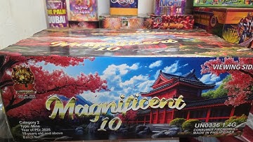 Magnificent 10 Fountain with Aerials by GLK Fireworks (Best Fountain)