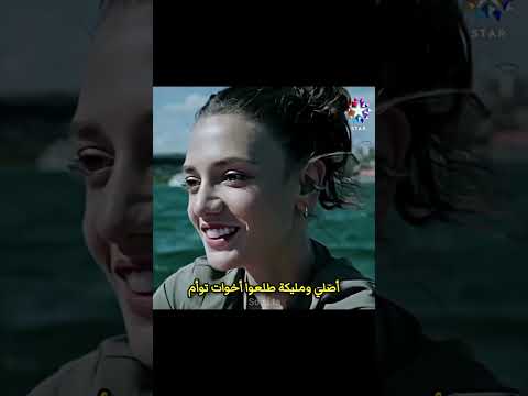 معقول يكونوا أخوات  اكسبلور تصميمي  الخفقان تصميم فيديوهات 