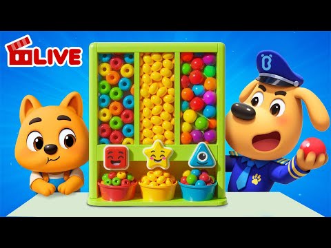 🔴LIVE | Dodo&#39;s Chore Challenge | Learn to Help | Good Habits | Sheriff Labrador | Cartoon | BabyBus