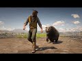 RDR2- All Animal Attack And Bite Animation Epic Wild Moments''Ep.23
