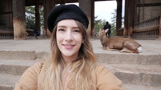 Nara Park in Japan! Feeding the deer in Nara ♡
