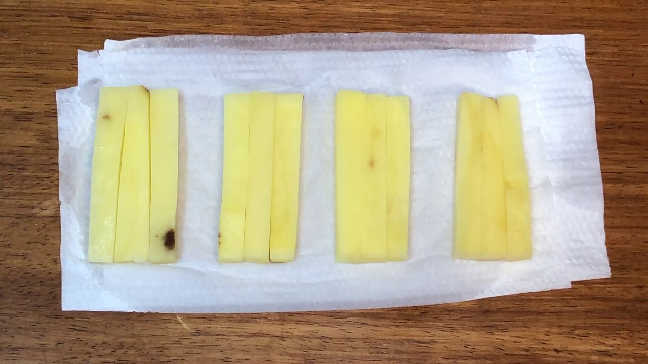 Actual Experiment Experiment On Osmosis Using Potato Strips YouTube Actual Experiment Experiment On Osmosis Using Potato Strips YouTube