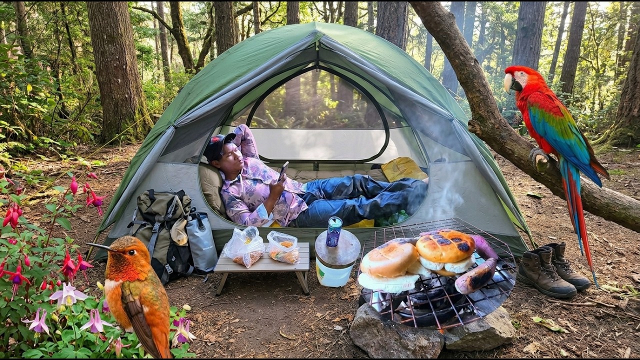 Solo Camping In The Forest By Dig The Soil.