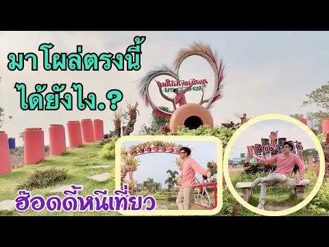 ผลสลากกินแบ่งรัฐบาล วันที่ 1 พย. 2567