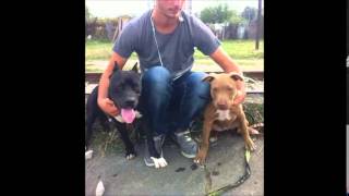 Orasha Kennels 2011-2015