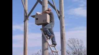 Barn Owl Nest Box Raising The short saga of the first mounting of Barn Owl nesting boxes at the Illinois Beach State Park in an effort to restore the presence of