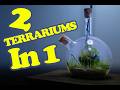 Two-In-One Terrarium In A Cruet | 90 Day Evolution