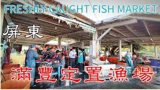 Everyone crazily buys fish at this freshest fish market
