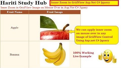 Inner Image Zoom Effect on Mouse Over in Grid View Control Asp.Net C# Jquery | Hindi | Free Classes