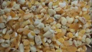 Maize Grits and Germs Production Machinery Plant