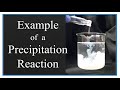 Precipitation Reactions and Solubility Rules