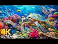 Amazing 4K Ocean Adventure 🐳 Dive Deep and Marvel at Sea Animal in The Best 4K ULTRA HD Aquarium...
