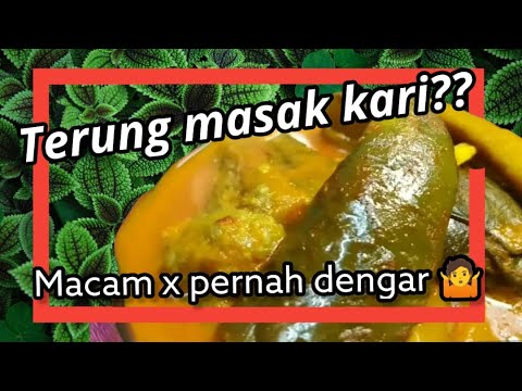 Video: Kursus Utama Yang Lazat Dan Ringkas: Terung Yang Disumbat