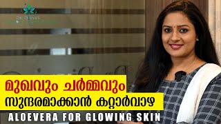 മുഖവും ചർമ്മവും സുന്ദരമാക്കാൻ കറ്റാർവാഴ | How To Use Aloe vera Gel For Clear Glowing & Spotless Skin