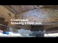 Sistering floor joists due to termite damage in crawlspace (and how to use a nail gun!)