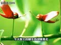 092黑本156首 谁慰主心 092黑本156首 谁慰主心