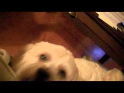 办 辦 ხი 闭 閉 贯彻