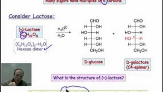Structure Elucidation of Disaccharides