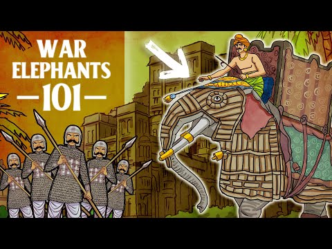 Video: Indian war elephants: description, history and interesting facts