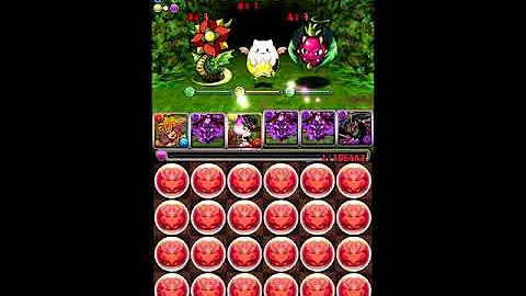 パズドラ 木曜ダンジョン 経験値 パズドラ 木曜ダンジョン 経験値